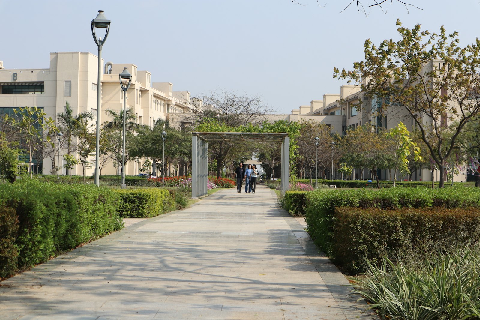 A tree-lined campus walkway with three people in the distance, picked out by the AI camera.